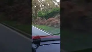 IRMA STORM DAMAGE Mt.Dora, FL