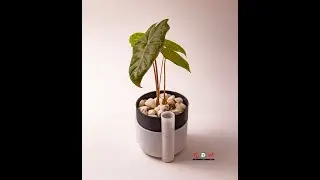 Self-watering pot. Not Of this World. 3D Printed on Demand