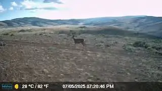 7-5-2025 Cowiche Canyon 7:20 pm