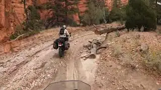  Utah on the Kove#offroad#kove#adv#kove800rally