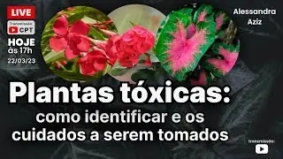 Plantas t&oacute;xicas: como identificar e os cuidados a serem tomados