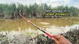 Spot sebagus ini jangan dianggurin!!