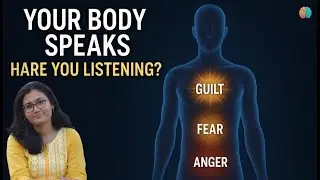 The Emotion Code Within Your Body &mdash; Decode Pain Before It Turns into Disease