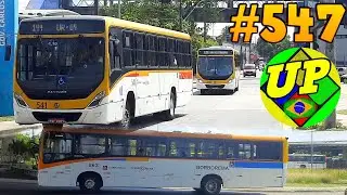 #547  Ti Tancredo Neves  - Recife - Movimentação de ônibus no terminal Integrado Tancredo Neves