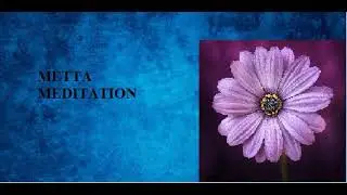 Metta Meditation