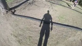 Team associated Reflex buggy an dtruggy showdown