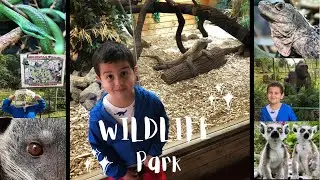 Visiting Birmingham Wildlife Conservation Park