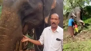 Watch daring father saves son from angry elephant...