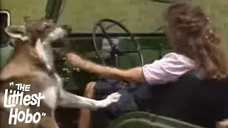 Back To Nature | The Littlest Hobo | Season 4 | Episode 3