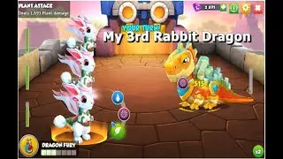 My 3rd Moon Rabbit Dragon-Dragon Mania legends | Dragon of The Week Moon Rabbit Dragon | DML