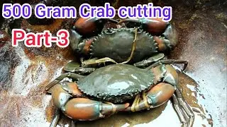 Big Crabs Fastest Cleaning and Cutting | Crab Cutting Technique | Crab Cleaning | PART 3