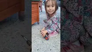 My daughter making a cat feeding station. 