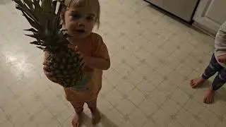 Близнецы, обожающие ананасы