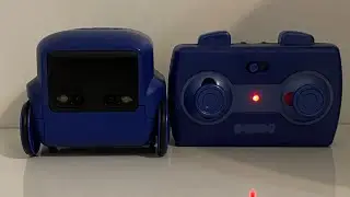Boxer bot review