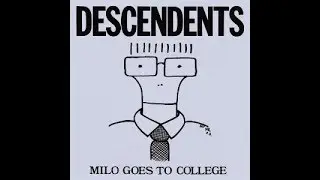 Descendents - Hope ( Guitar Cover )