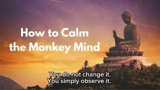 How to Calm the Monkey Mind | Buddha&rsquo;s Simple Way to Inner Peace🍀