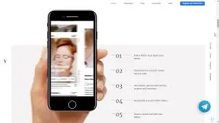 ico vanywhere обзор