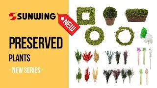 Preserved Plants Wholesale | Sunwing Artificial Plants