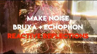 REACTIVE REFLECTIONS | Make Noise Bruxa + Echophon | Verbos Voltage Multi-Stage