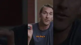 🐾 Teaching a Puppy to Sit! 🎓
