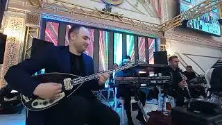 Ramin Qulamov Elektro saz - Toy Açılışı Şah Saray 2024