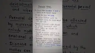 Development at PRENATAL Stage. Class -11 PSYCHOLOGY Ch.4 Human Development