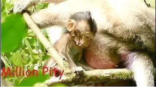 Both Mom And Child Was Scared Tara | Mom Carla Low Rank Cannot Gain Back With Tara Just Only Scared.