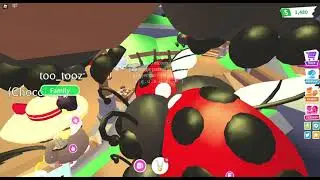 Farm Shop Update Secrets And Throwing Lavender To See  If I Can Get A Diamond Ladybug