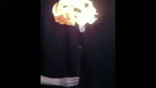 Slow Motion Jellyfish Extinguishes 20x Slower