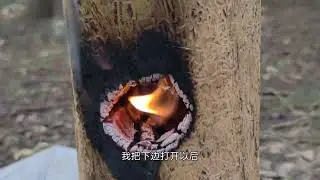 瑞典火炬真的很好玩，芬兰蜡烛的正确玩法，你学会了吗？#野外户外 #露营 #原始技术 #户外玩火 #废土生存 #户外美食 #野炊 #柴火炉 #瑞典火炬 #芬兰蜡烛