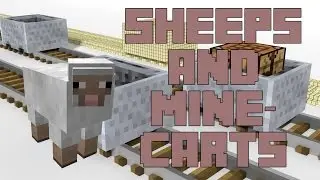 Sheeps in Minecarts - [MineDivision Short]