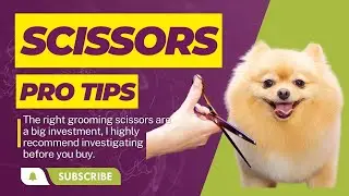 How To Choose Dog Grooming Scissors