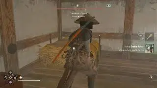 Assassin's Creed Shadows- The Stray Dogs Missions