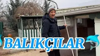 Murat ve Ali BÜYÜKKILIÇ abilerimiz (BALIKÇILAR) dan alınan kuşlar Bu akşam 21.30 da CANLI MEZATTA