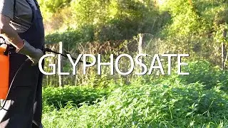 What is Glyphosate? - Glyphosate Solutions with the Biome Medic