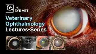 Veterinary ophthalmology lecture series - The Eye Vet