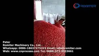Automatic Dry Chili Segment Cutting Machine with Seeds Separator