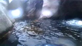 Cascatas da F&iacute;rveda (cascata n&ordm; 4) - Rio Cabrum - Freigil - Resende