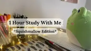 1 HOUR STUDY WITH ME!! *Squishmallow Edition* | Peaceful Study Music | Squishmallow Stop Motion