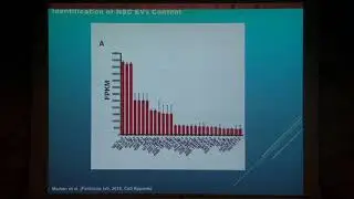 Extracellular Vesicle Regulation of the neuro-immune axis