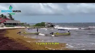 BIOTAR MAYA testimonio TULUM