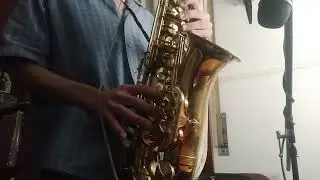 Trainer Archives - Saxophone Cover (Umamusume Pretty Derby OST)
