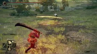 Invading Pavoesis &ndash; Dismounter Blood+25 & Storm Blade vs Rellana's Twin Blades | Elden Ring PvP NG+4