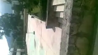 02092010019