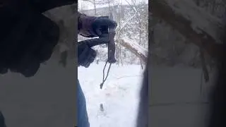 #condor #bushcraftknife #bushcraftgear #bushcraft #snow #outdoors #youtubeshorts