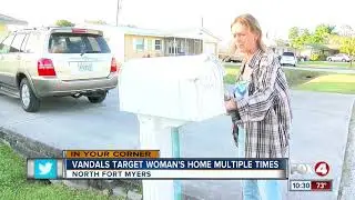 Vandals Target Woman's Home Multiple Times
