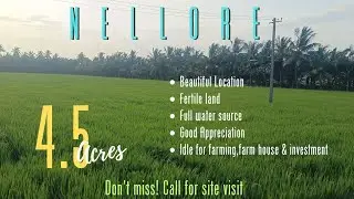 Nellore's Delta Zone Agri Gem &ndash; 4.5 Acres for Sale Near 6th Mile