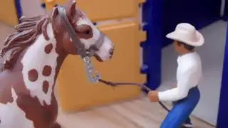 Film - Trenér cowboy