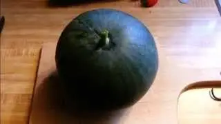 Sugar Baby Watermelon Tasting