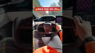 ⚠️Tesla Plaid CCB Track Package TOPS 200😳😮&zwj;💨 Tesla Model S Plaid 🥵👀